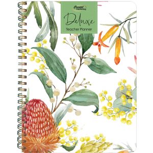 Deluxe Primary Weekly Protea